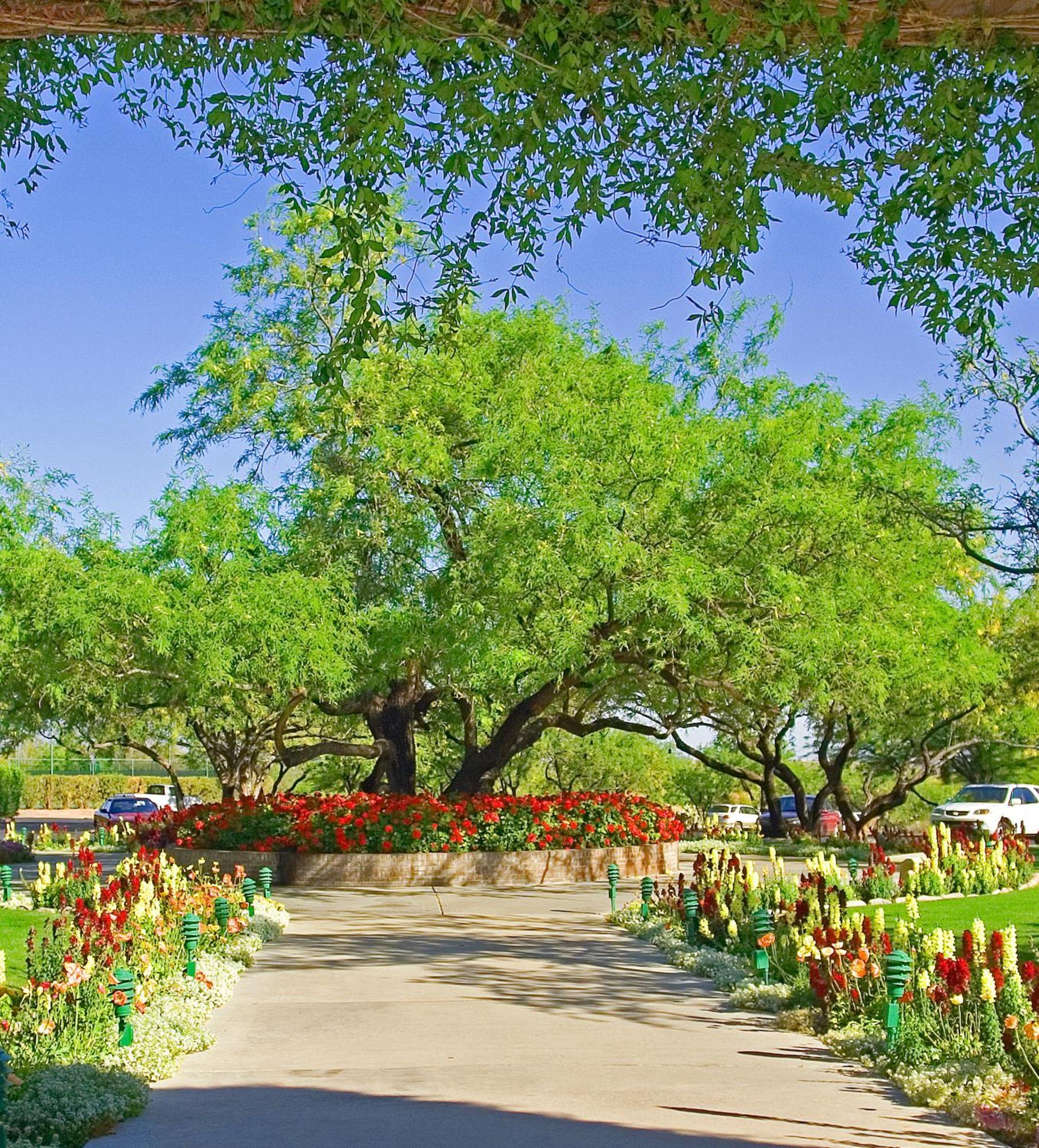 The Lodge At Ventana Canyon Tucson Exterior foto